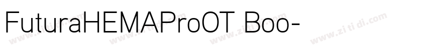 FuturaHEMAProOT Boo字体转换